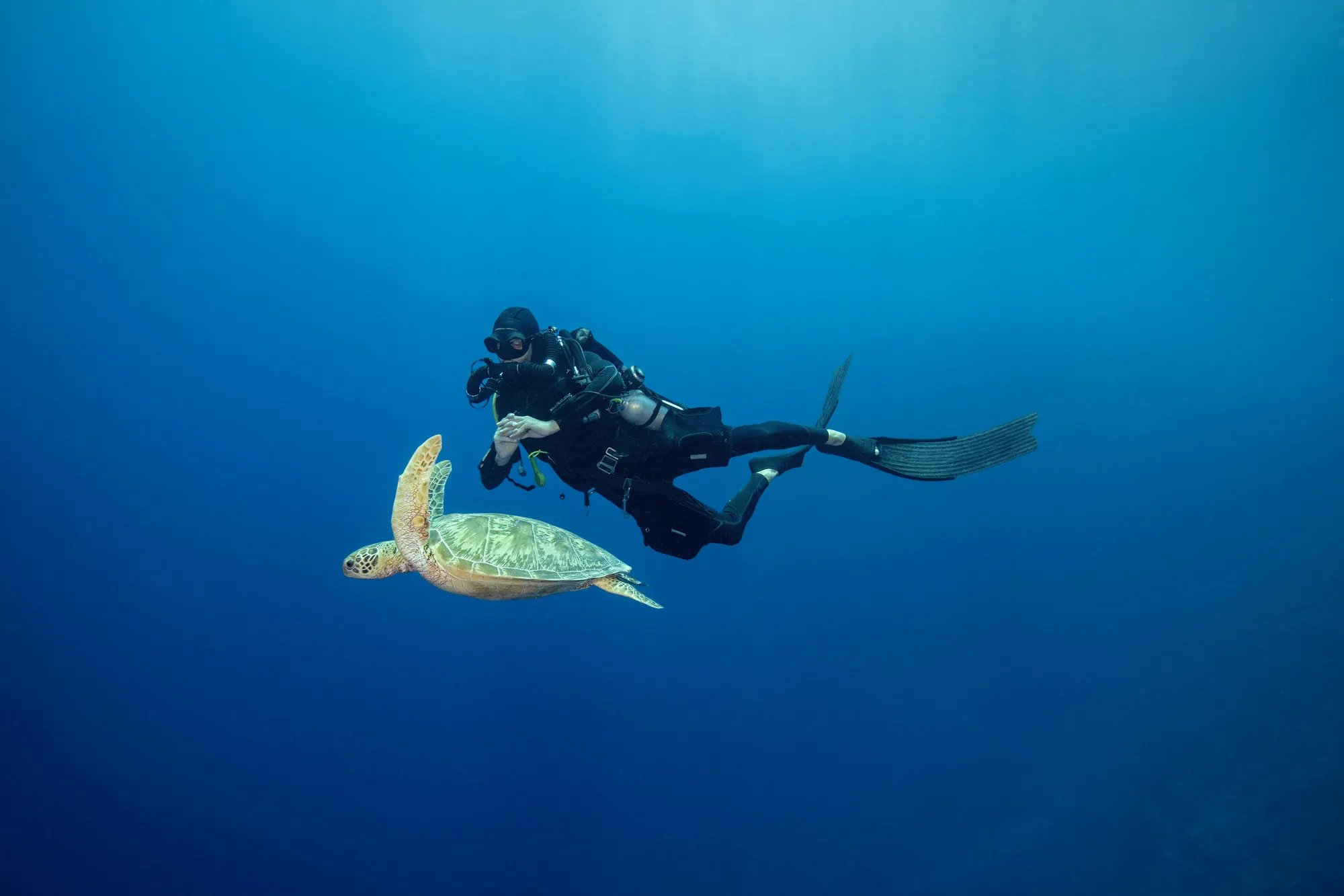 Mergulhador nadando ao lado de uma tartaruga marinha em água azul